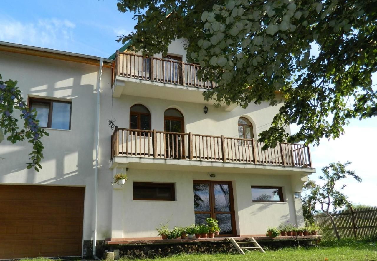 Отели типа «постель и завтрак» Belegania Villa Oarja-4